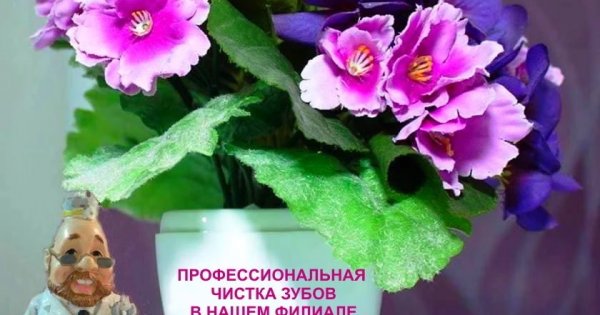 IASO Клиника красоты и здоровья