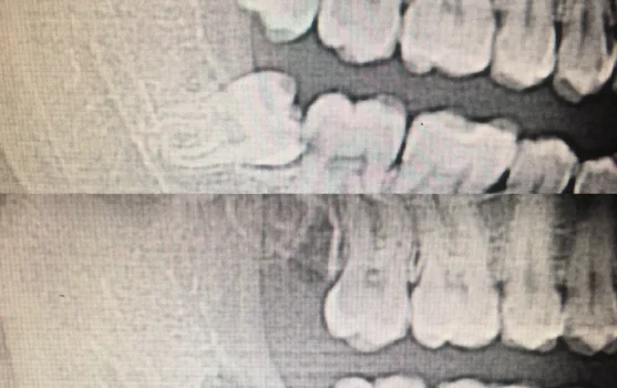 Стоматологическая клиника Очень хорошая стоматология фотография 1