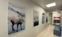 Медицинский центр Гиппократ на Совхозной улице фотография 6