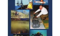 Всероссийский НИИ рыбного хозяйства и океанографии фотография 7