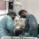 Стоматология Dr. Malkov Implant Clinic фотография 2
